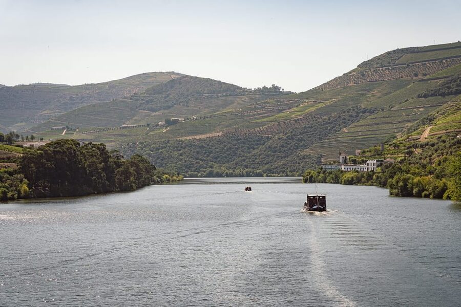 From Pinhão: Douro Valley Rabelo Boat Tour with Port Wine - Reading the Douro from the water