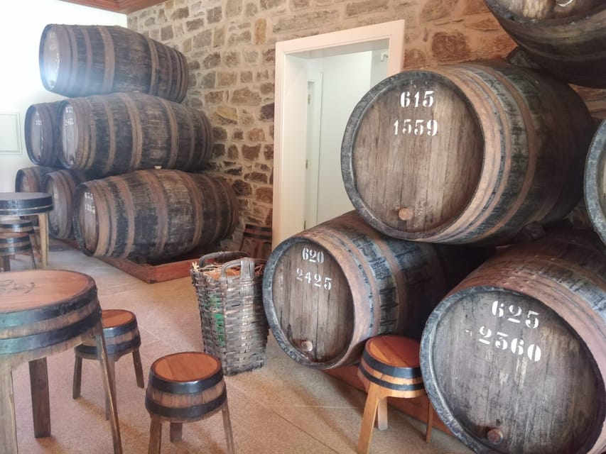 From Pinhão: Douro Valley Tour w/ Wine Tasting and Boat Trip - The viewpoint and minivan ride above Pinhão