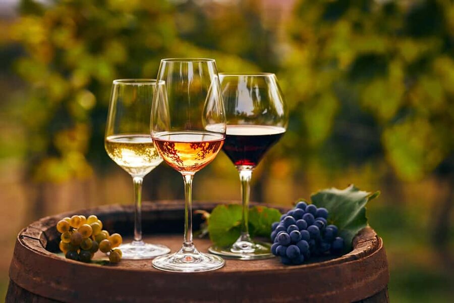 From Pompeii: Mount Vesuvius Wine Tasting and Lunch - Key points to know before booking