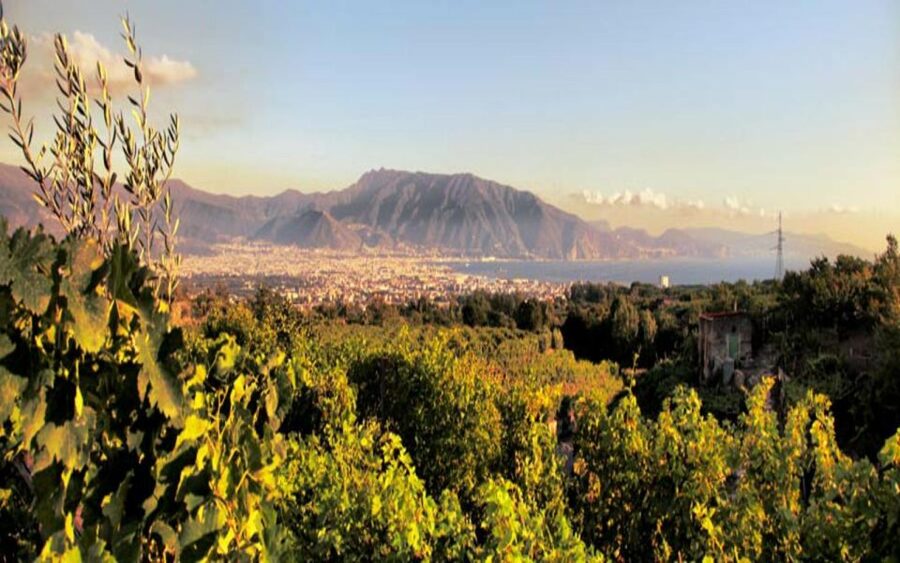 From Pompeii: Mount Vesuvius Wine Tasting and Lunch - Why the wine pairing adds value