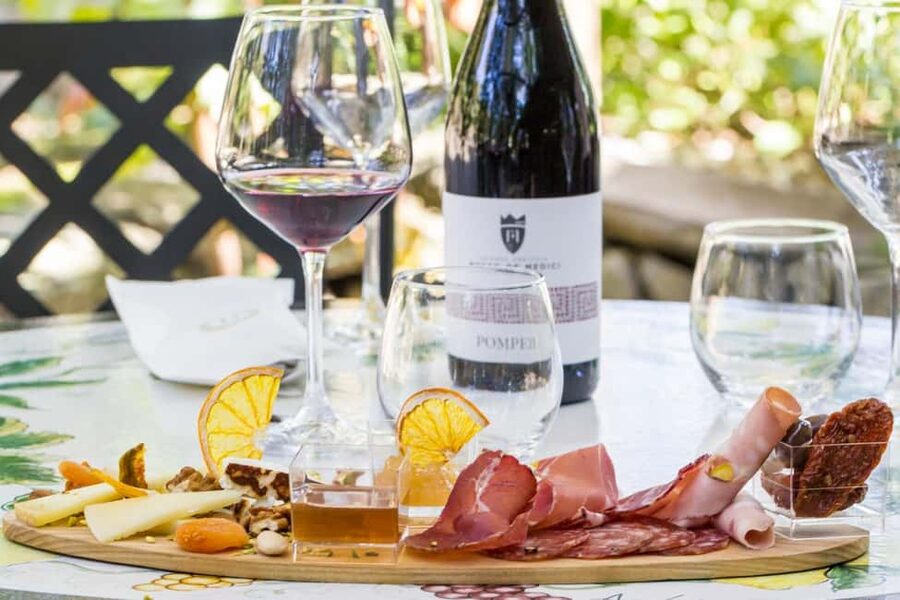 From Pompeii: Mount Vesuvius Wine Tasting and Lunch - A family winery with Vesuvius underfoot