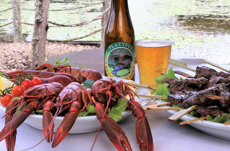 From Port Douglas: Atherton Tablelands Adventure - Australian Platypus Park and the main meal