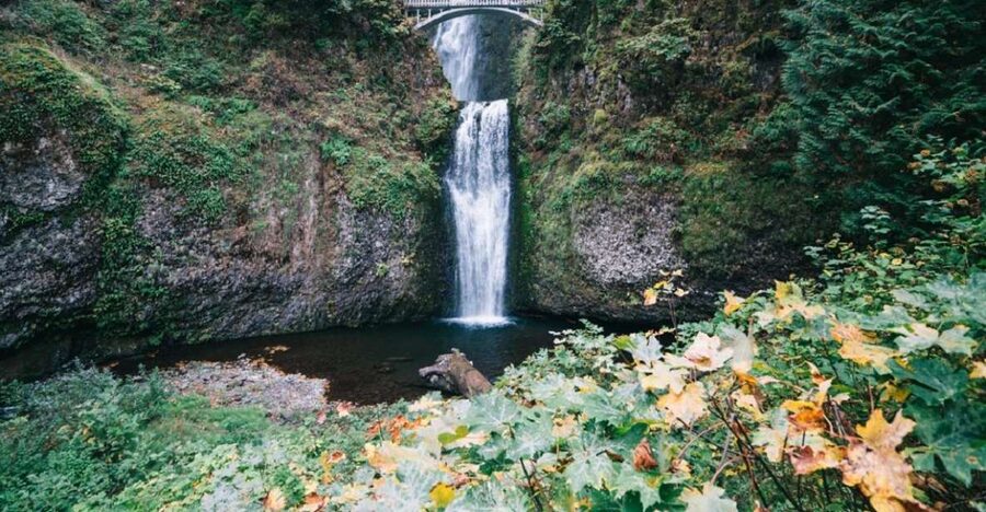 From Portland: Waterfalls, Mt Hood, and Wine Day Tour - Key points at a glance