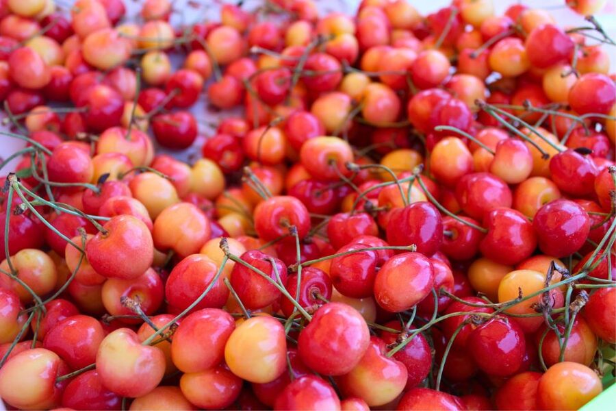 From Portland: Waterfalls, Mt Hood, and Wine Day Tour - One winery, with fees paid separately