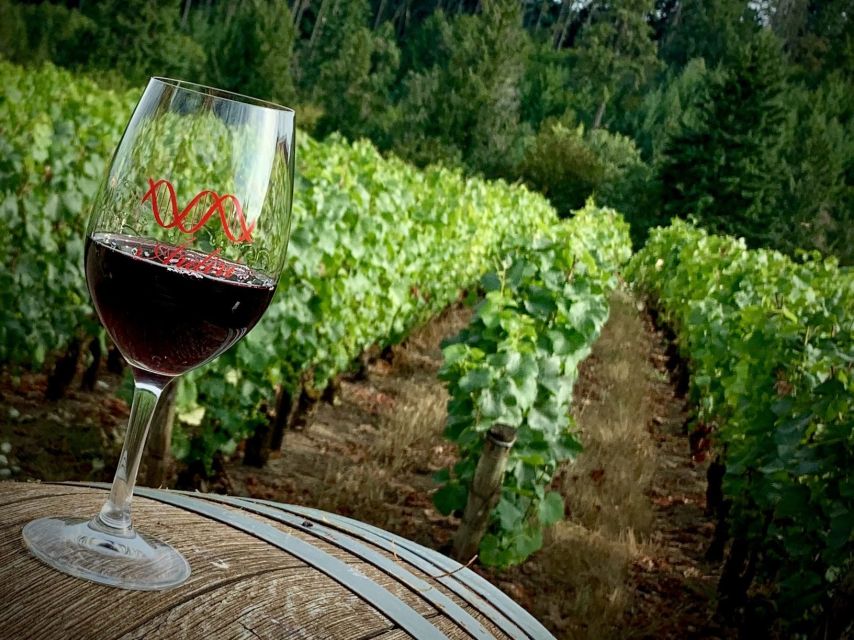 From Portland: Waterfalls, Mt Hood, and Wine Day Tour - Who will get the most from this tour
