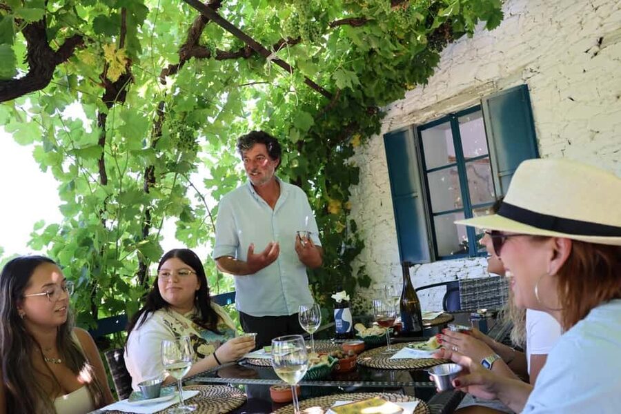 From Porto: 2 Boutique Wineries w/ Winery Lunch & 1-h cruise - Why this Douro Valley tour works so well from Porto