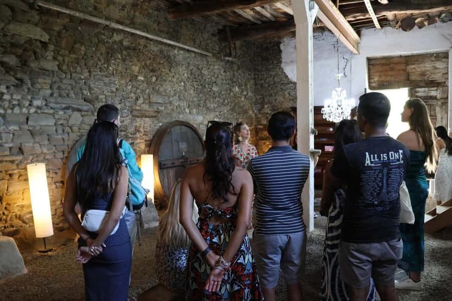 From Porto: 2 Boutique Wineries w/ Winery Lunch & 1-h cruise - What you taste at the boutique estates