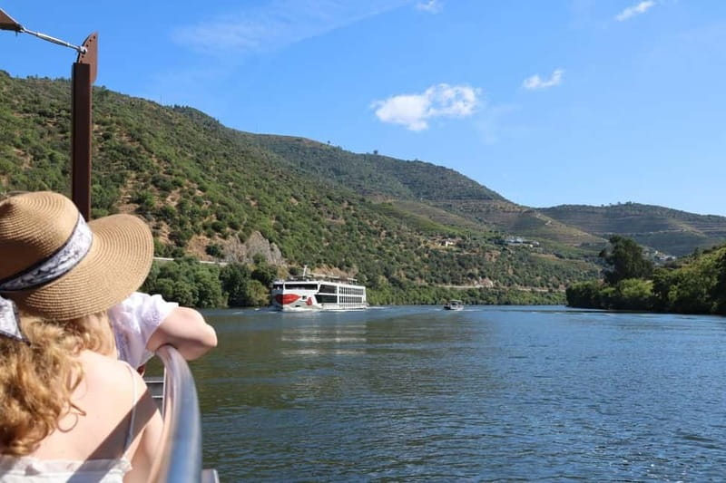From Porto: 2 Boutique Wineries w/ Winery Lunch & 1-h cruise - The morning drive through Provesende