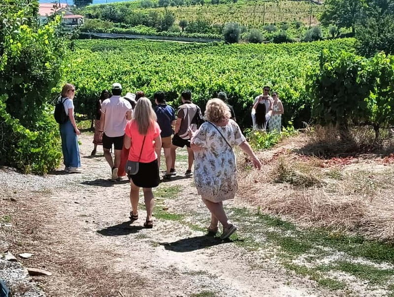 From Porto: 2 Wine Regions, Farm Lunch, and Boat Ride - Key points to know before booking