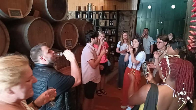 From Porto: 2 Wine Regions, Farm Lunch, and Boat Ride - The 50-minute Rabelo boat ride from Pinhão