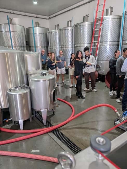 From Porto: 2 Wine Regions, Farm-to-Table Lunch & Boat - What $94 really buys you