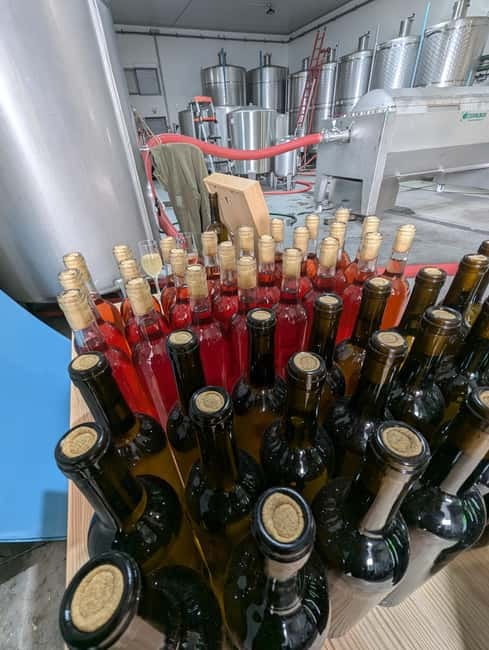 From Porto: 2 Wine Regions, Farm-to-Table Lunch & Boat - Crossing into the Douro Valley