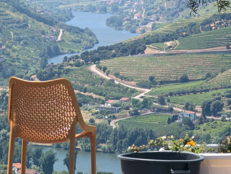 From Porto: 2 Wine Regions, Farm-to-Table Lunch & Boat - The guide makes or breaks a long day