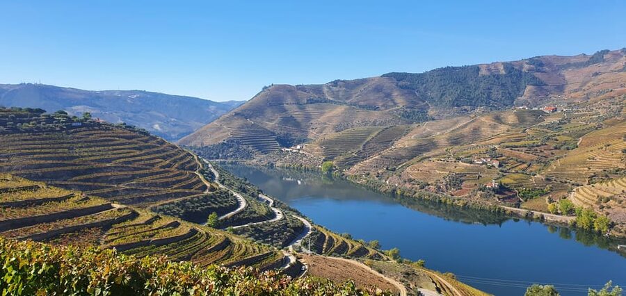 From Porto Day Douro Valley Wine Tour 2 Wine Tasting & Lunch - A one-hour rabelo boat cruise