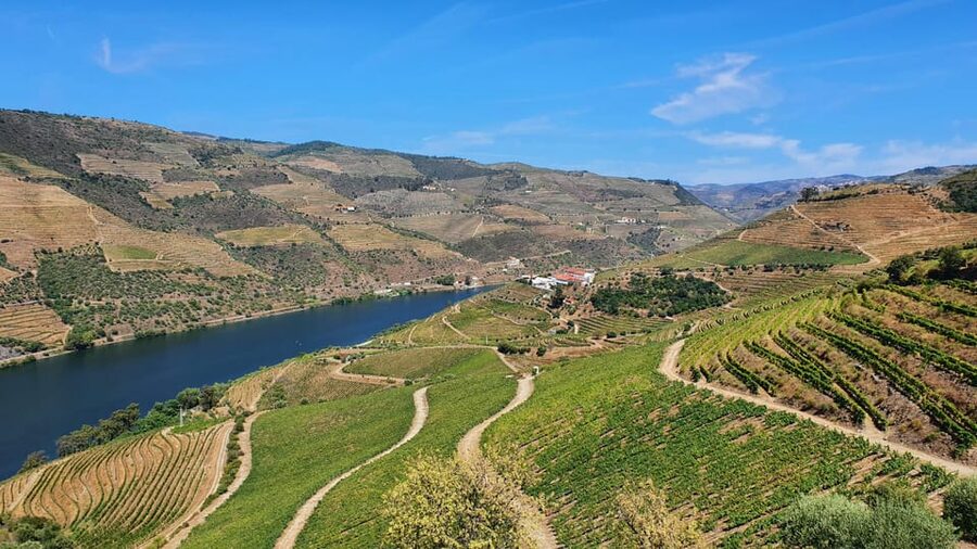 From Porto Day Douro Valley Wine Tour 2 Wine Tasting & Lunch - The guide can shape the whole day