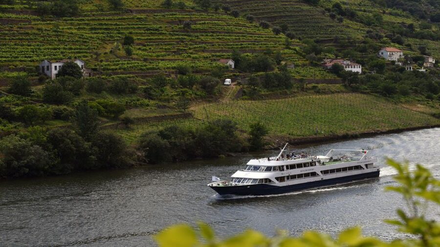 From Porto: Douro River Cruise, Winery Visit & Lunch - Quinta da Roêda and the vineyard visit