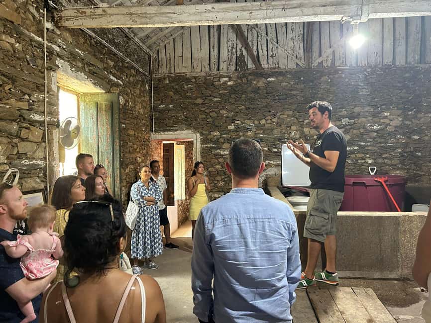 From Porto : Douro Valley sightseeing with 1 Winery Visit - Who Should Book This Douro Valley Experience?