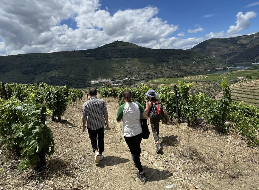 From Porto : Douro Valley sightseeing with 1 Winery Visit - The N222 to Peso da Régua