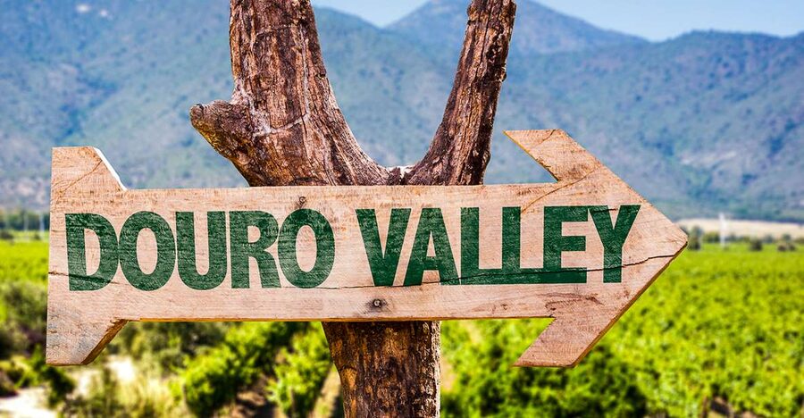 From Porto: Douro Valley w/ Boat Tour, Wine Tasting & Lunch - Who will get the most from this tour