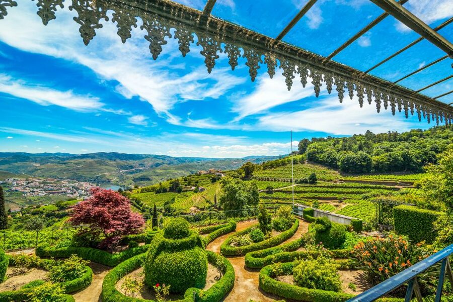 From Porto: Douro Valley w/ Boat Tour, Wine Tasting & Lunch - Guides, drivers, and the feel of the day