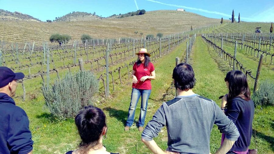 From Porto: Premium Douro Valley 4 Vineyards Tour with Lunch - Key points to know