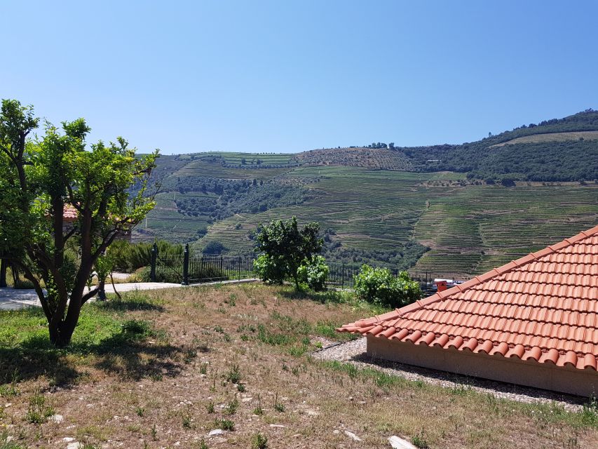 From Porto: Premium Douro Valley 4 Vineyards Tour with Lunch - What the $200 price gets you