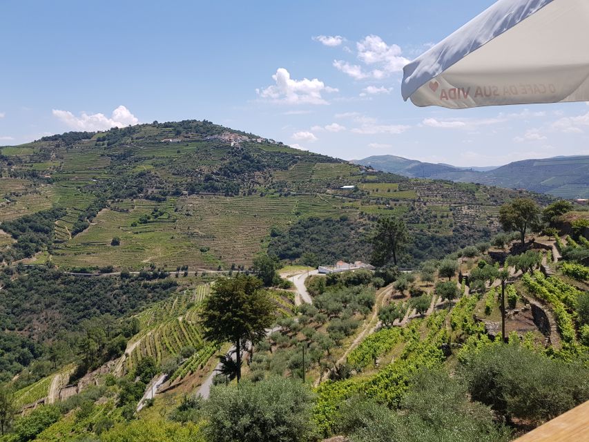 From Porto: Premium Douro Valley 4 Vineyards Tour with Lunch - National Road 222 and the Douro River