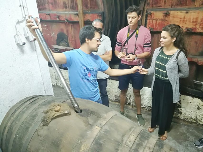 From Porto: Premium Douro Valley 4 Vineyards Tour with Lunch - Returning to Porto in the early evening