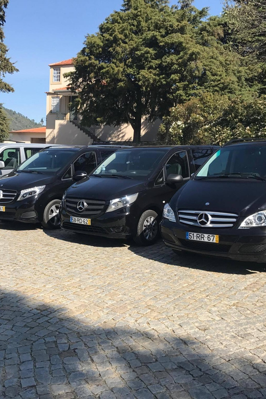 From Porto: Premium Douro Valley Small-Group Wine Tour - Why this Douro day works so well from Porto