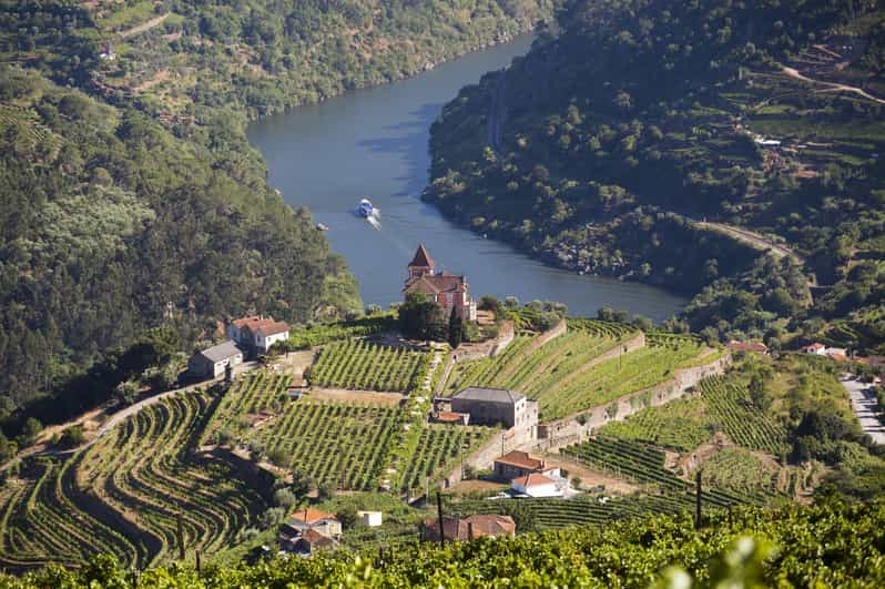 From Porto: Premium Douro Valley Small-Group Wine Tour - A premium lunch with a dramatic old wine tradition