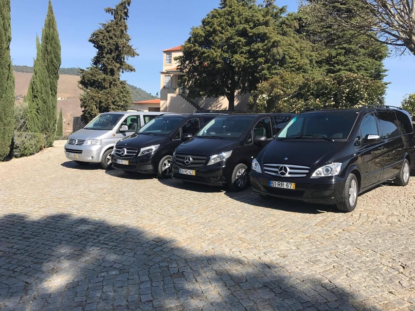 From Porto: Premium Douro Valley Small-Group Wine Tour - The second winery and a different local perspective
