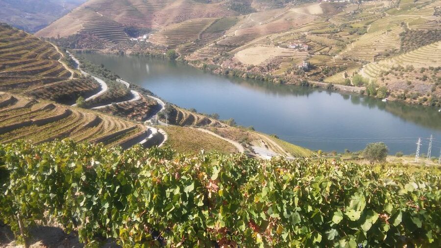 From Porto: Private Douro Valley Tour with Cruise and Wine - Pinhão’s tiles and the one-hour river cruise