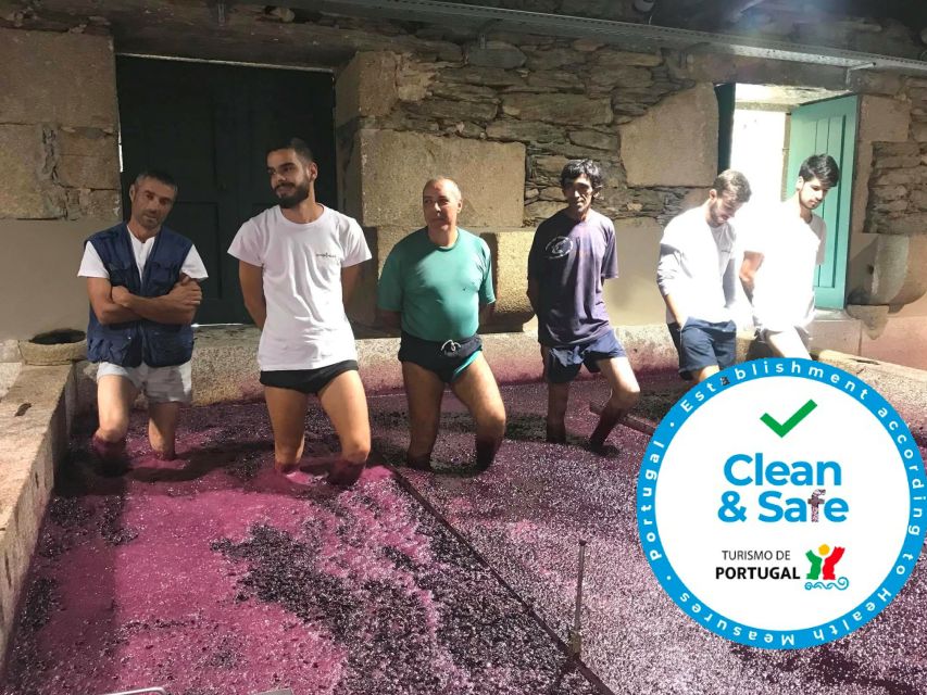 From Porto: Private Douro Valley Tour with Cruise and Wine - Two wineries, two ways to understand Douro wine