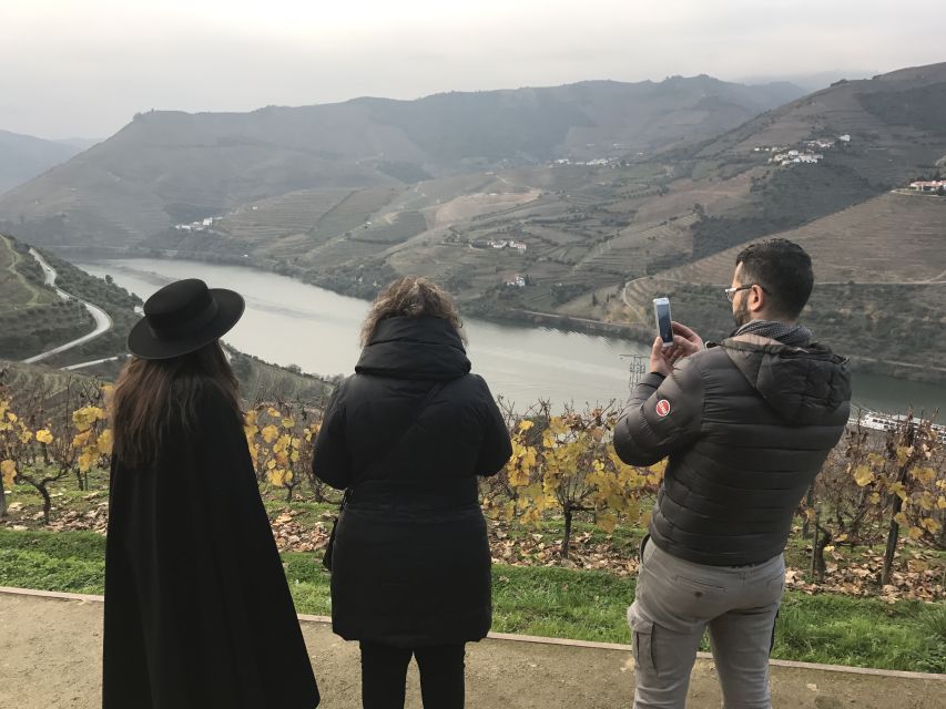 From Porto: Private Douro Valley Tour with Cruise and Wine - Who should book this Douro experience