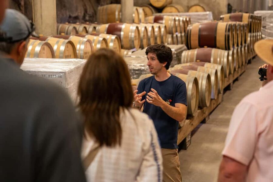 From Porto: Small Group Douro Valley Tour with Wine & Cruise - The winery lunch: the heart of the day