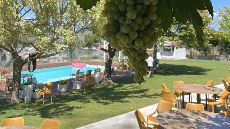 From Porto: Tastings at 2 Wineries, Chef's Lunch & Boat Tour - The farm-to-table lunch at a family estate