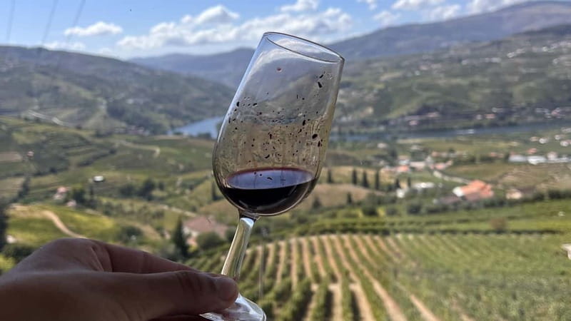 From Porto: Tastings at 2 Wineries, Chef's Lunch & Boat Tour - What the $134 price really buys