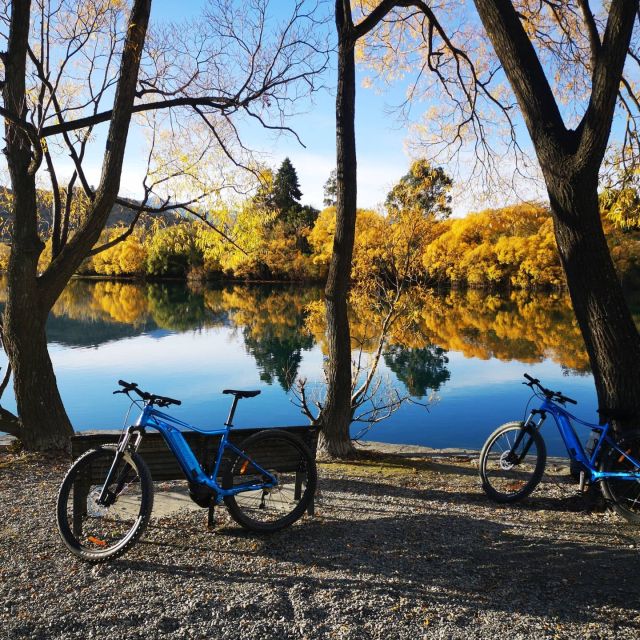 From Queenstown: 'Valley of the Vines' Wine and Bike Tour - Why this Queenstown wine tour works so well