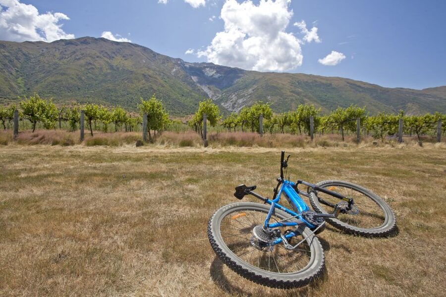 From Queenstown: 'Valley of the Vines' Wine and Bike Tour - Picking the right bike can make or break the day
