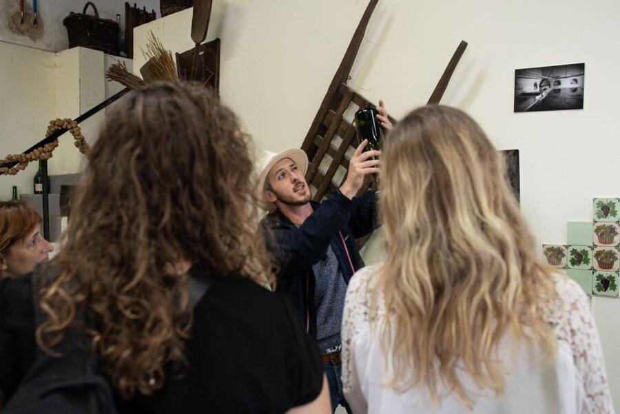 From Reims: Champagne and Family-Run Wineries Tour - Is $147 good value?