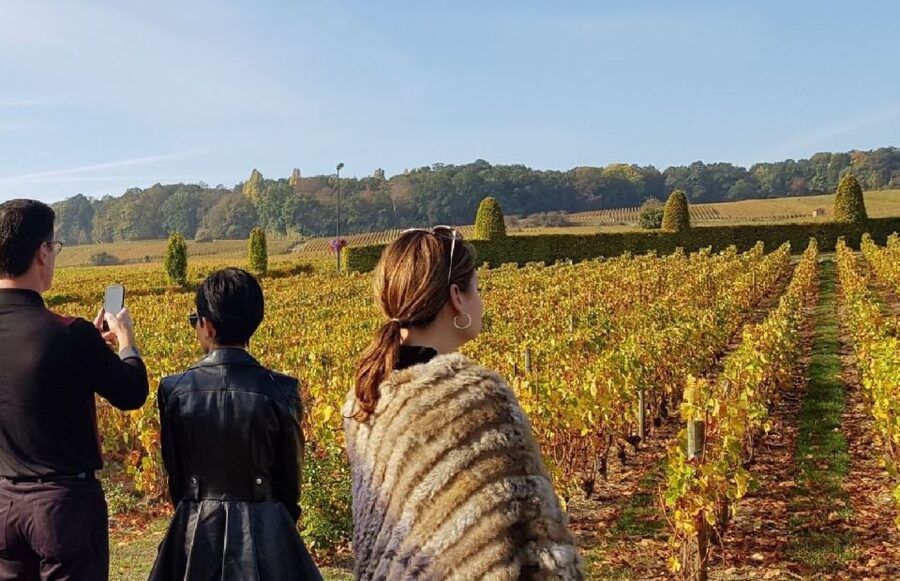 From Reims: Champagne Day Trip to 3 Family Domains & Lunch - Épernay’s Avenue de Champagne