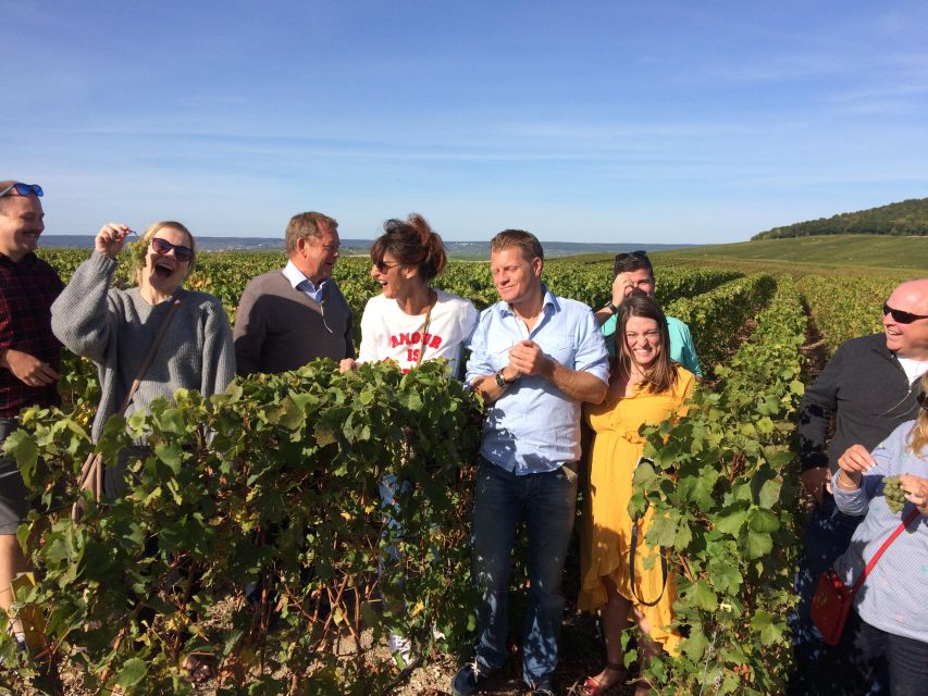 From Reims/Epernay: Champagne half-day tour (small group) - Hautvillers, the abbey, and the Marne Valley view