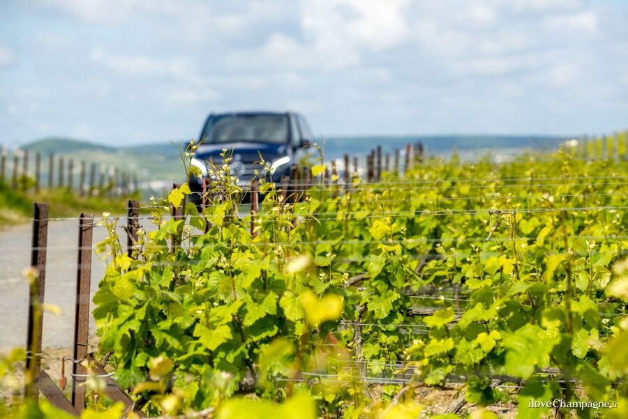 From Reims: Morning Champagne Tour and Tastings - Why small Champagne houses make the morning worthwhile