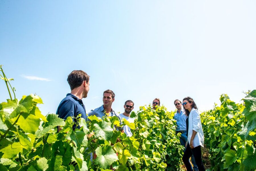 From Reims: Morning Champagne Tour and Tastings - Is $135 a fair price?