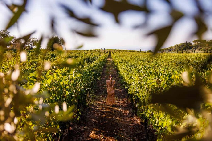 From Rome: Frascati Wine Region Tour with Wine Tasting - A family estate with centuries of wine behind it