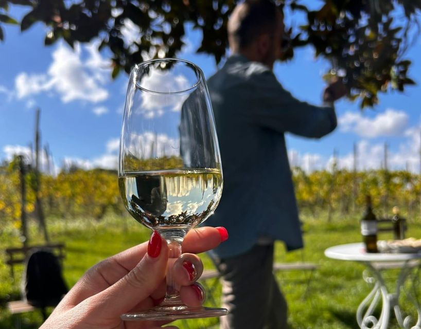 From Rome: Half-Day Frascati Wine Tour with Farmhouse Lunch - From town to a nine-generation farmhouse