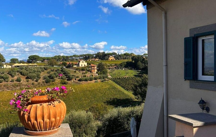 From Rome: Half-Day Frascati Wine Tour with Farmhouse Lunch - A farmhouse lunch with music and local warmth