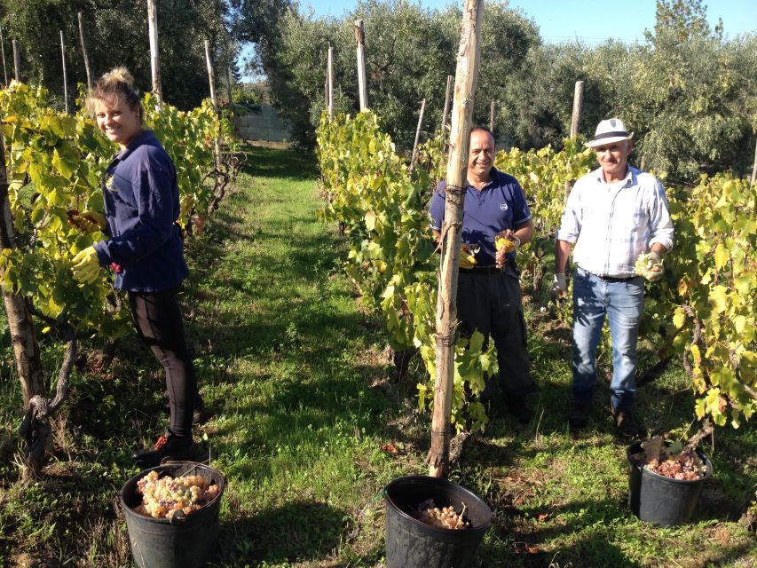 From Rome: Half-Day Frascati Wine Tour with Farmhouse Lunch - Meeting your guide at Frascati station