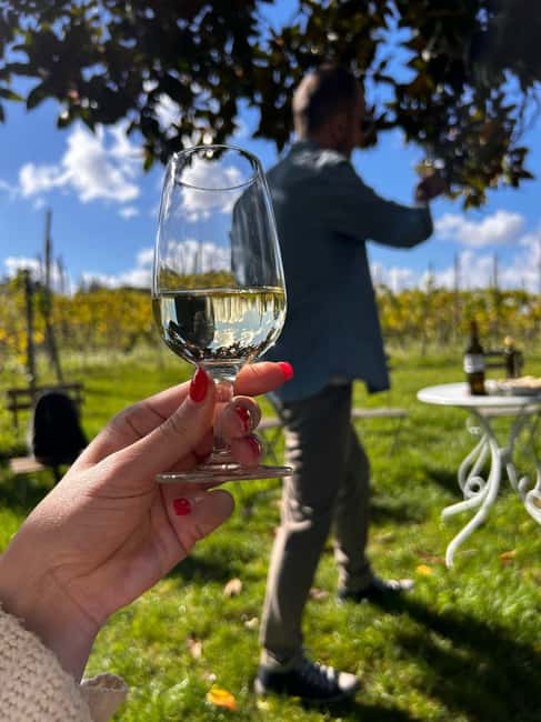 From Rome: Pasta Masterclass & Wine Tour in the Vineyard - The old cellar and vineyards