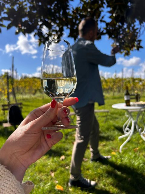 From Rome: Pasta Masterclass & Wine Tour in the Vineyard - Lunch with your own pasta